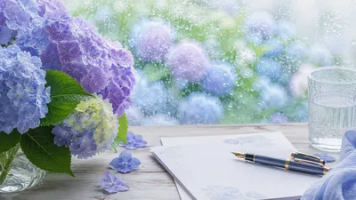 梅雨明けが待ち遠しい時の挨拶文の書き出しとは？季節の挨拶とすぐ使える例文を解説